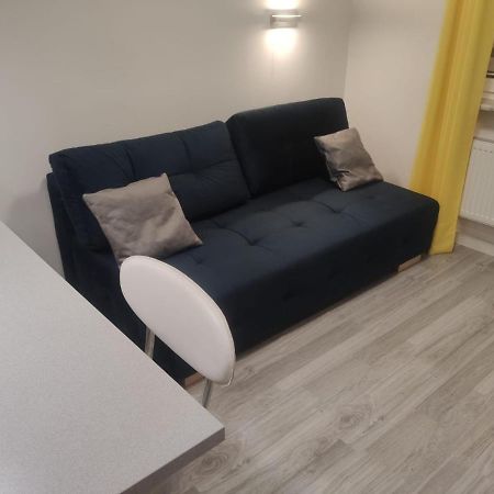 Comfortable Studio Only 20 Minutes From International Conference Center Katowice Best Place For Wuf2022 Eec Tnf Off Etc Siemianowice Slaskie Luaran gambar