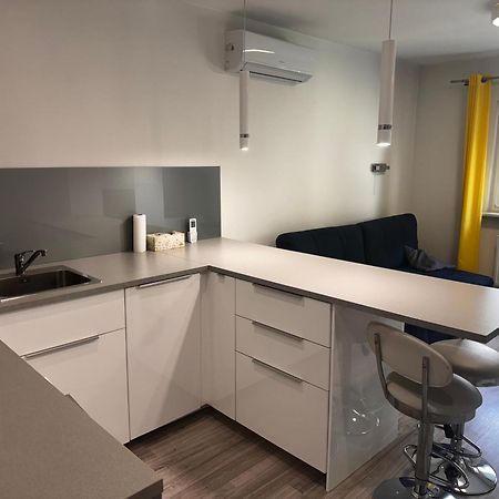 Comfortable Studio Only 20 Minutes From International Conference Center Katowice Best Place For Wuf2022 Eec Tnf Off Etc Siemianowice Slaskie Luaran gambar
