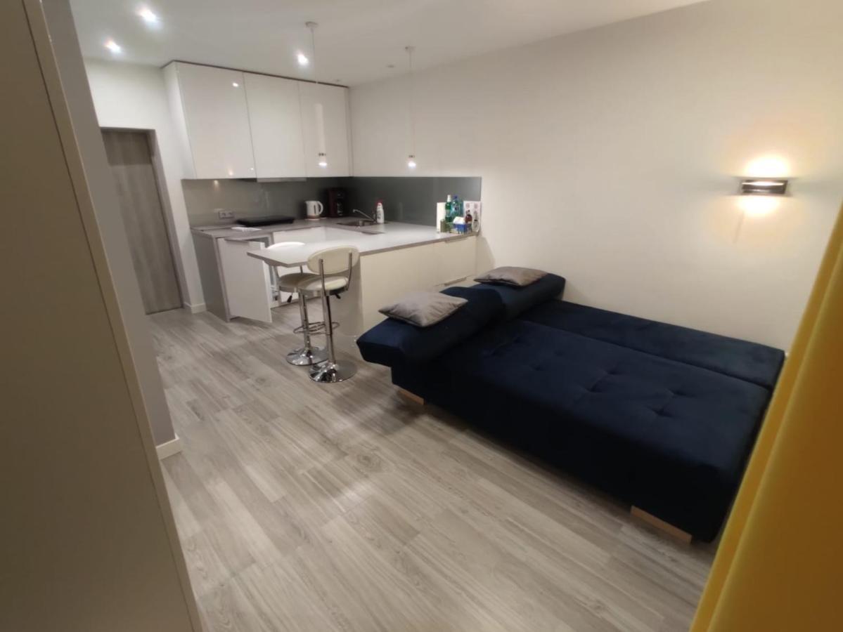 Comfortable Studio Only 20 Minutes From International Conference Center Katowice Best Place For Wuf2022 Eec Tnf Off Etc Siemianowice Slaskie Luaran gambar
