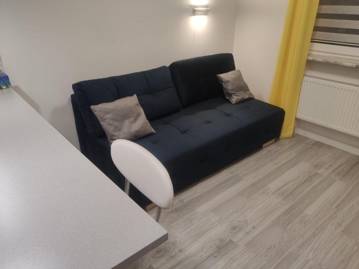 Comfortable Studio Only 20 Minutes From International Conference Center Katowice Best Place For Wuf2022 Eec Tnf Off Etc Siemianowice Slaskie Luaran gambar